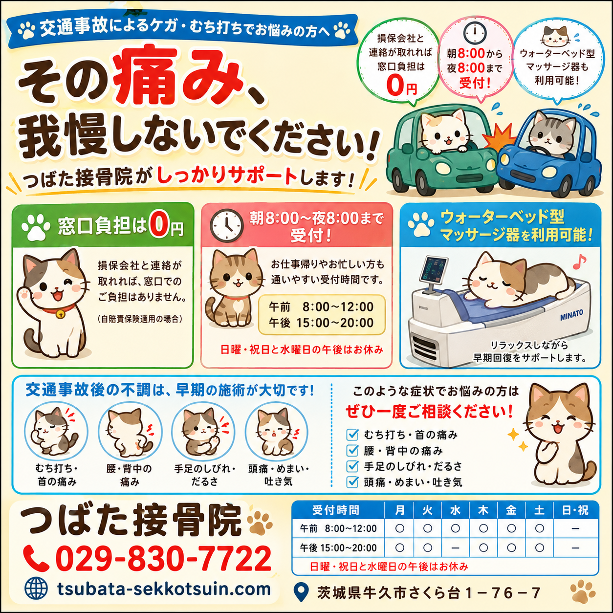 交通事故　cat